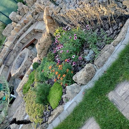 Villa Garden Besenova Luaran gambar